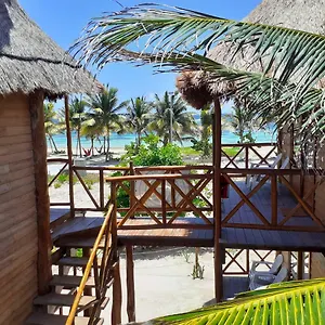Palmeras De , Mahahual Mexiko